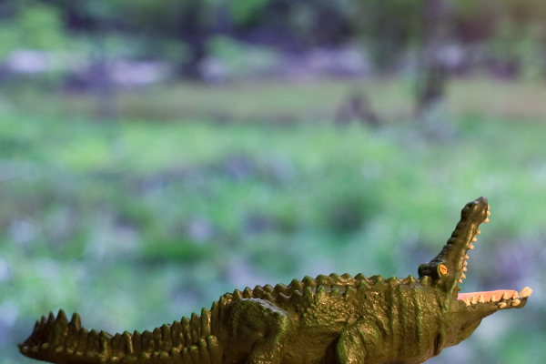 figurine crocodile