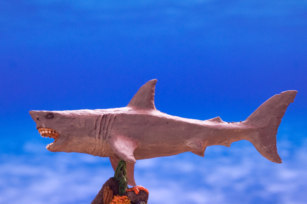 figurine requin