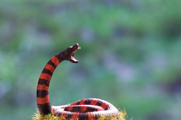 figurine serpent