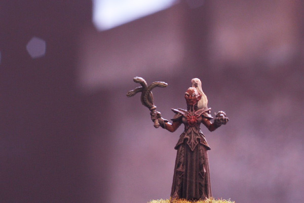  drow elfe noir 