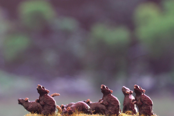 figurine rat